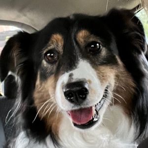 Meet your Posher, Janet